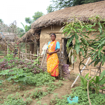 Kitchen-Garden