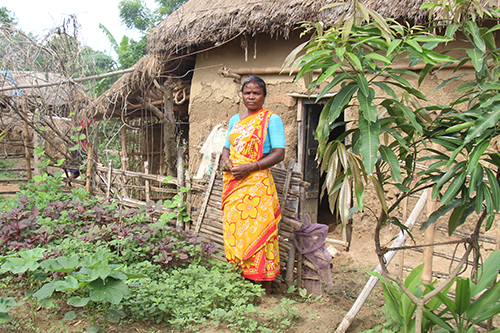 Kitchen-Garden